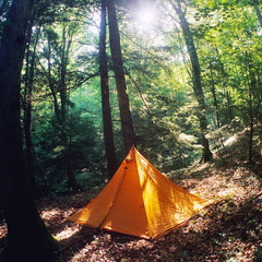 Big South Fork country